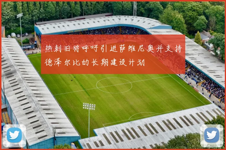 热刺旧将呼吁引进萨维尼奥并支持德泽尔比的长期建设计划