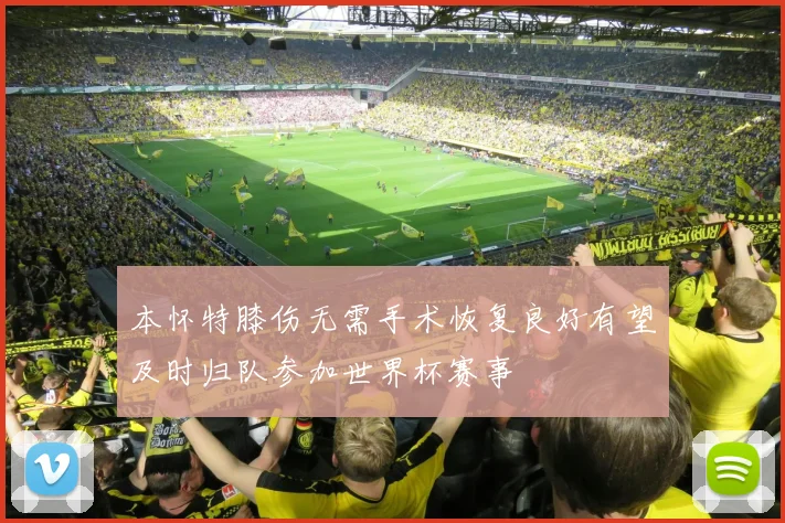 本怀特膝伤无需手术恢复良好有望及时归队参加世界杯赛事